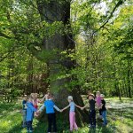 phoca_thumb_m_veverky u rybnka 1 Fotogalerie